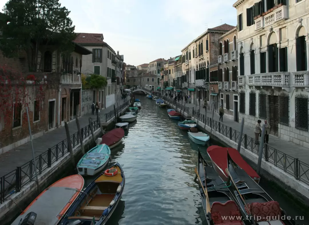 Fondamento del Gafaro