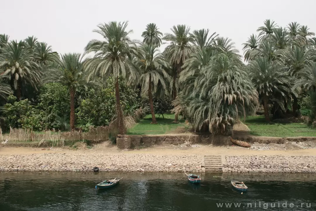 Круиз по Нилу от Эдфу до Ком-Омбо, фото 47