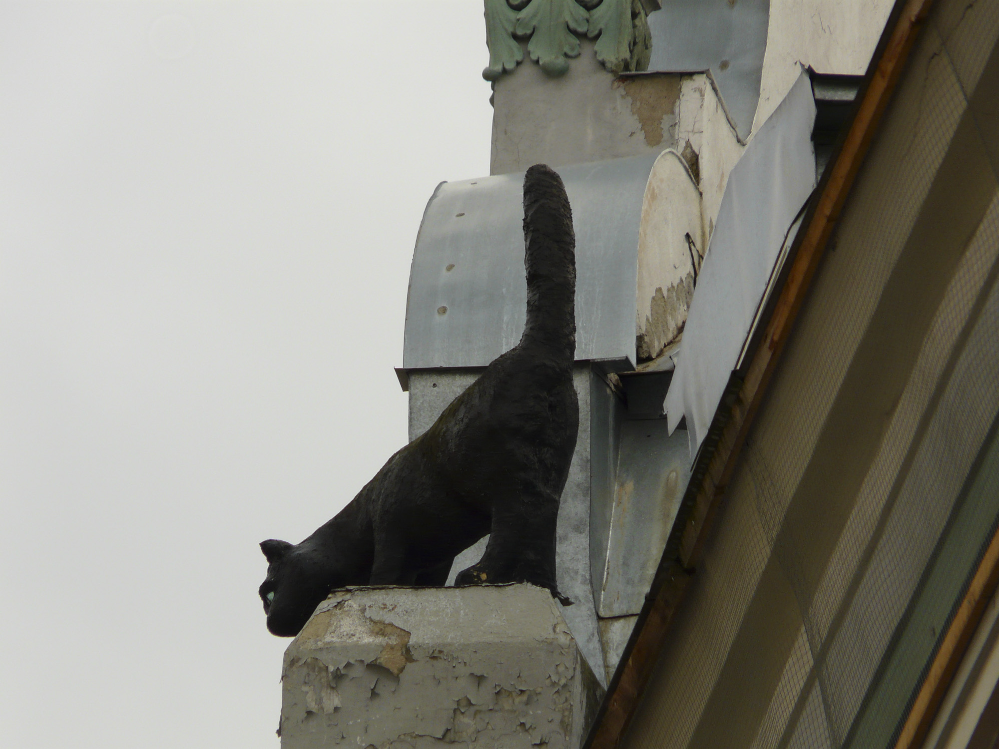 Кошка на доме, Таллин