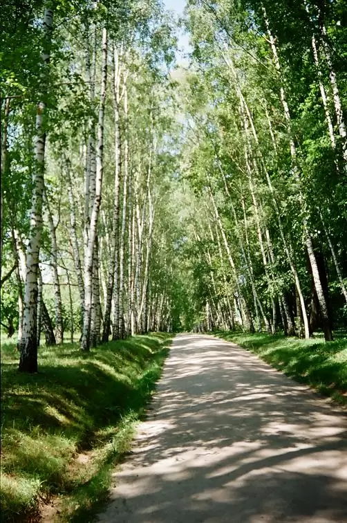 Ясная Поляна, фото 12