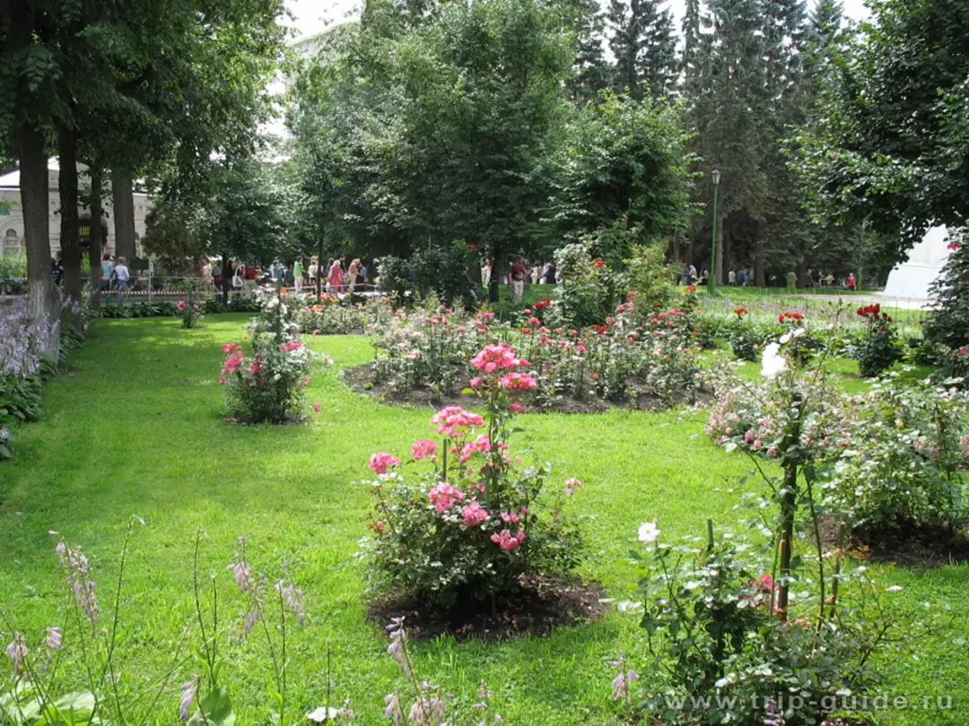 Цветники Троице-Сергиевой лавры