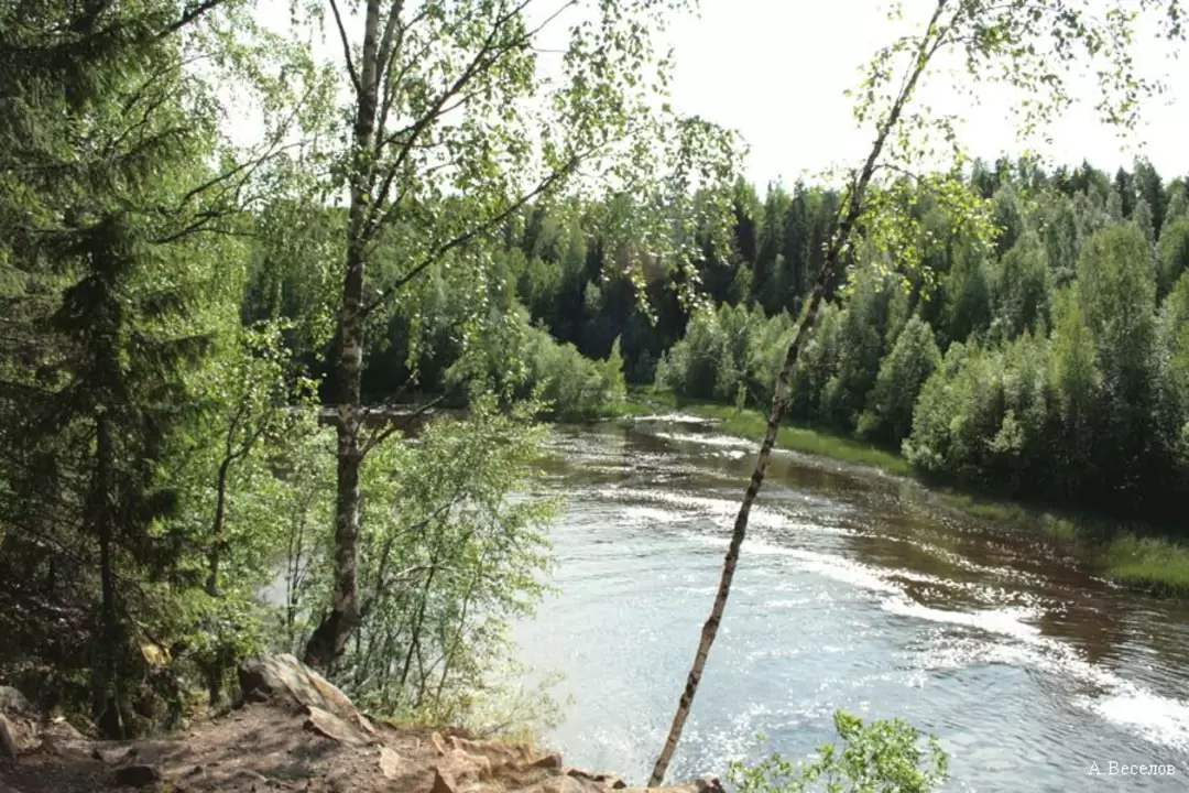 Природа Карелии