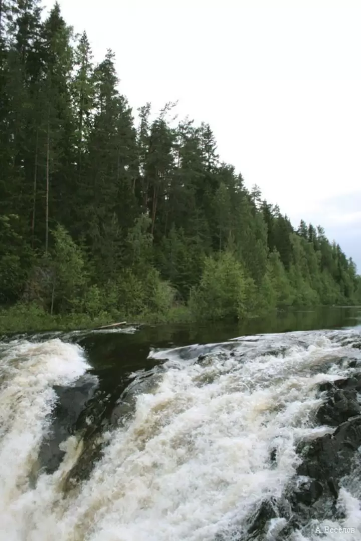 Водопад Кивач в Карелии